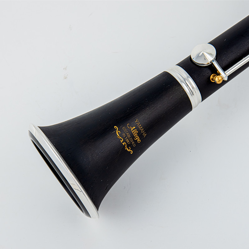 Musical Instrument Brands - Japan Brand New Professional Wood /