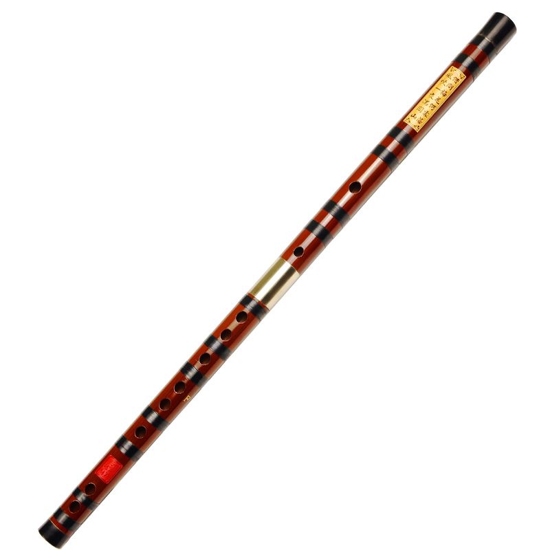 Professional Playing Bitter Ba - огляд і ціна Musical Instrument Ending In A