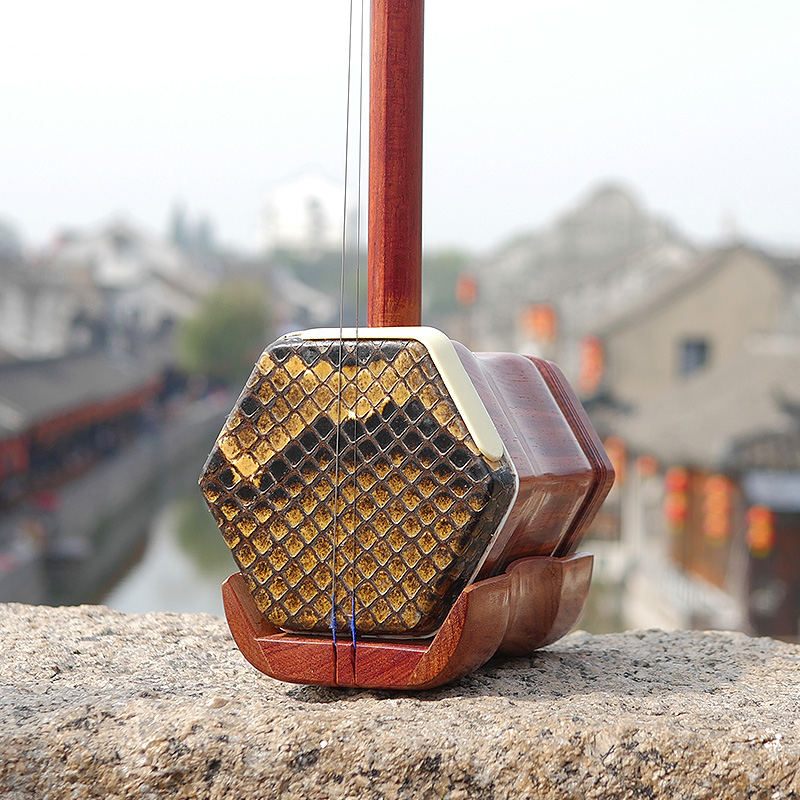 Professional Dunhuang Brand 06 - огляд і ціна Musical Instrument Brands