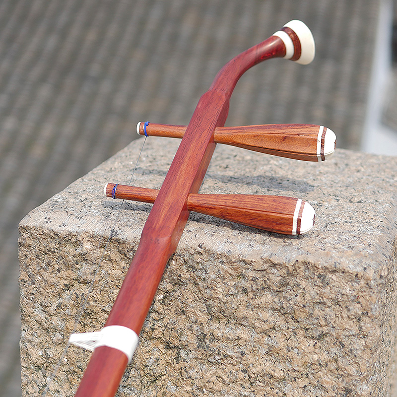 Professional Dunhuang Brand 06 - огляд і ціна Musical Instrument Brands