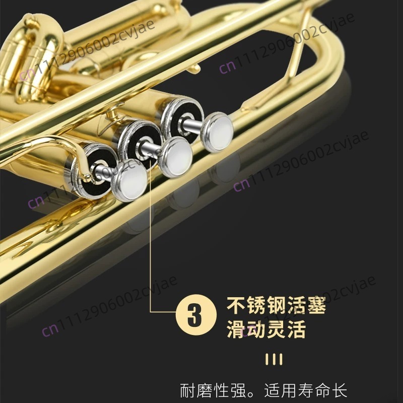 Suitable for Jinbao trumpet mu - огляд і ціна Musical Instrument Band