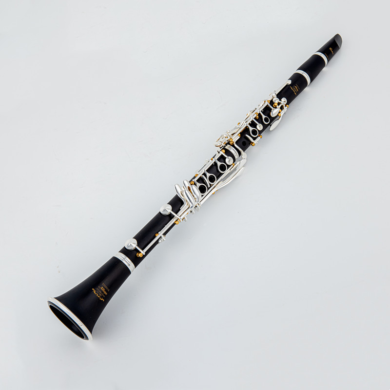 Japan Brand New Professional W - огляд і ціна Musical Instrument Brands