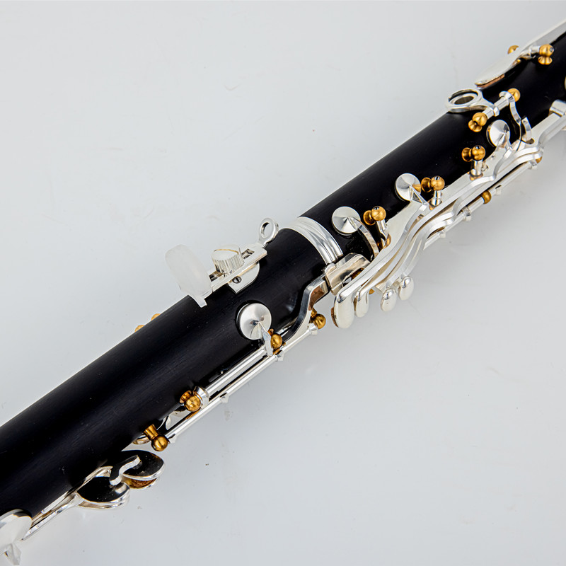 Japan Brand New Professional W - огляд і ціна Musical Instrument Brands