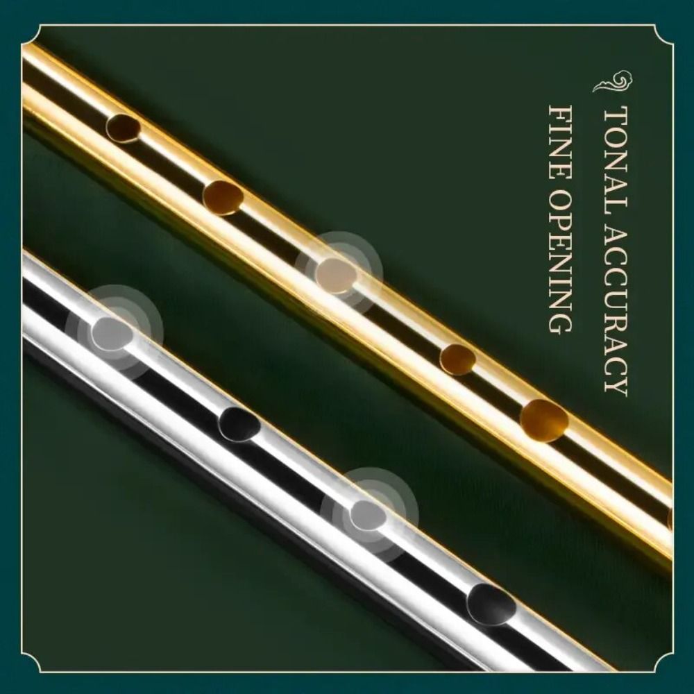C/D Key Irish Whistle Flute 6  - огляд і ціна Musical Instrument Irish