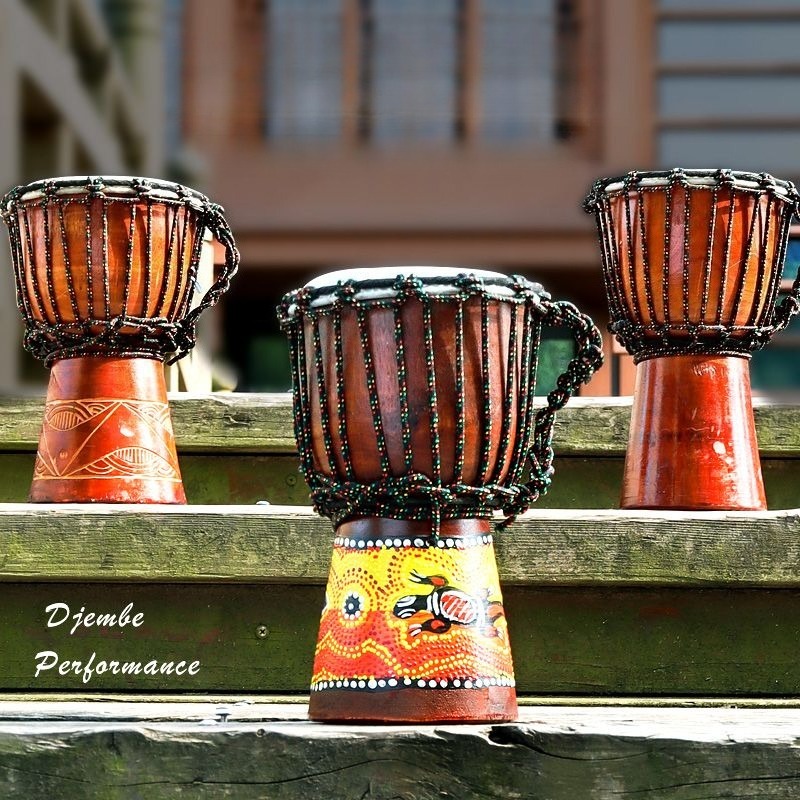 Children Beginner Small Africa - огляд і ціна Musical Instrument Djembe