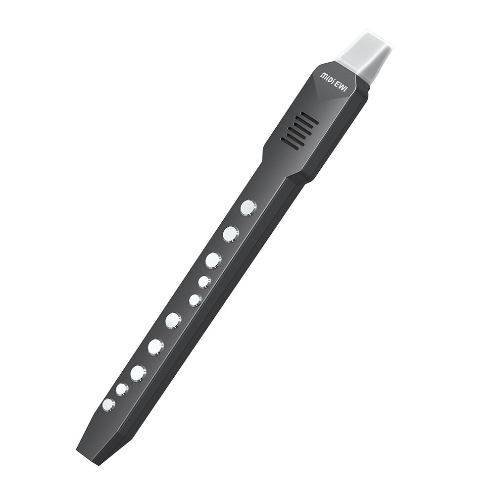 Small Transverse Flute Electro - огляд і ціна Musical Instrument Irish