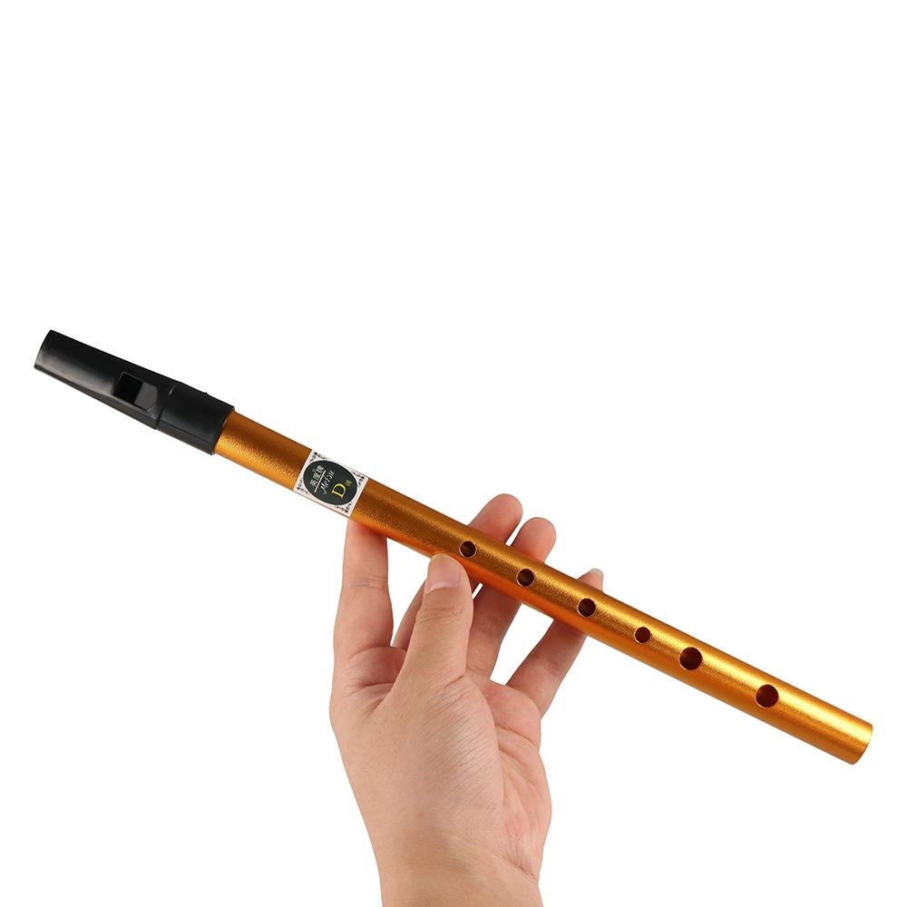 Musical Accessories 6 Hole Iri - огляд і ціна Musical Instrument Flute